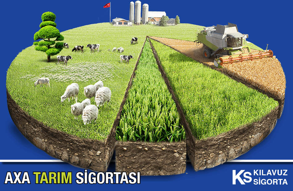 Axa Tarım Sigortası Kılavuz Sigorta