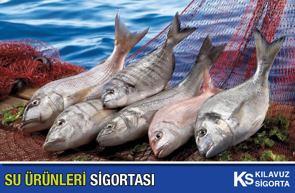 Su Ürünleri Sigortası Kılavuz Sigorta